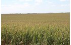 Property photo 88 - LAND AUCTION, 3255+/- Acres offered in 13 Tracts
